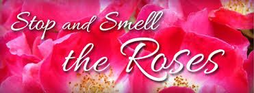 Stop and Smell The Roses!